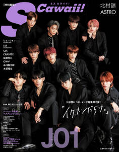 S Cawaii!特別編集『イケメンだらけ。』