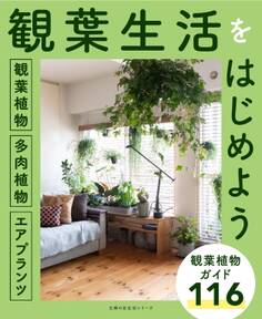 観葉植物/多肉植物/エアプランツ 観葉生活をはじめよう