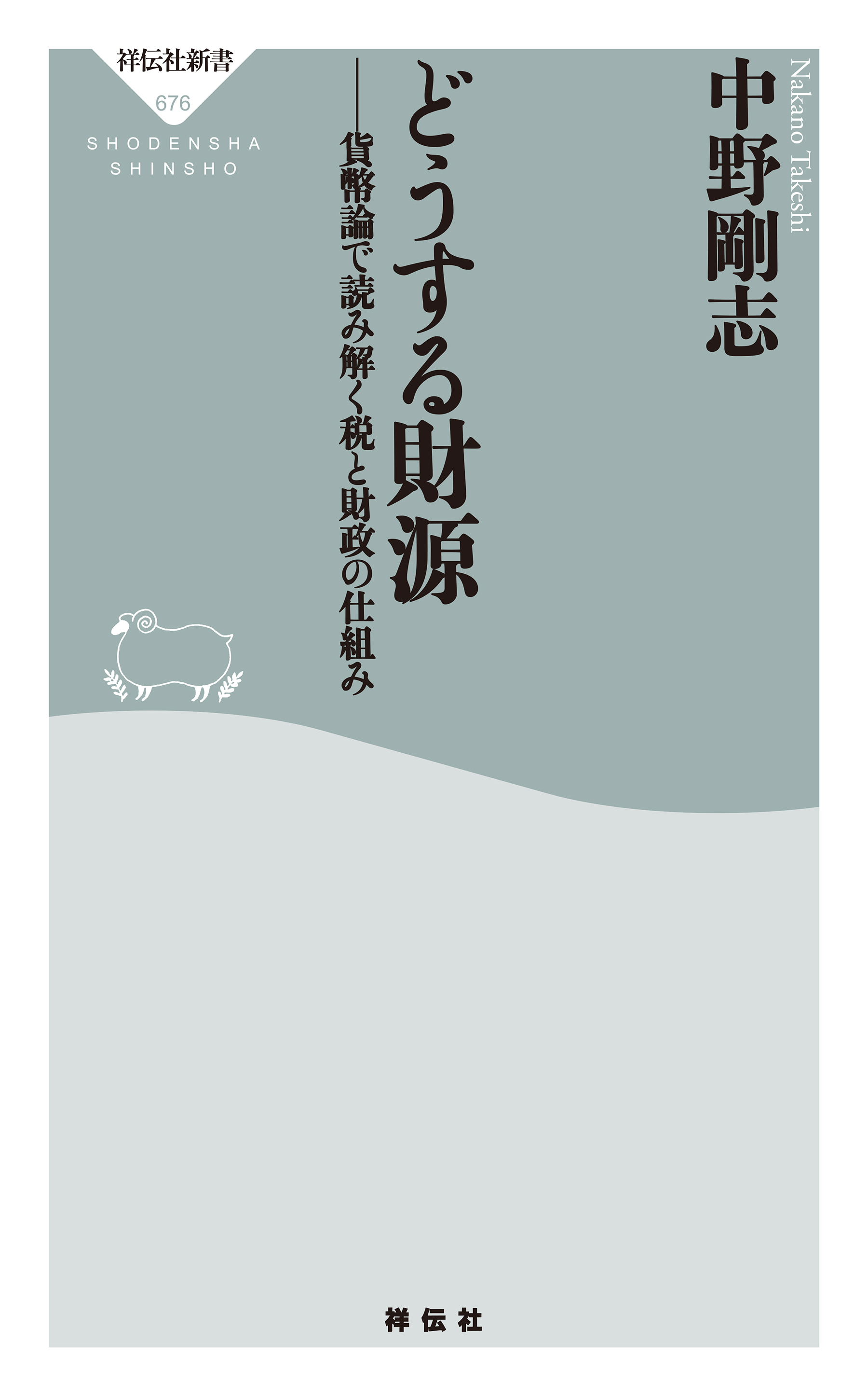 どうする財源　貨幣論で読み解く税と財政の仕組み