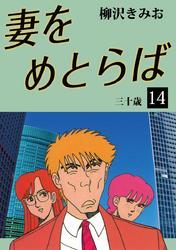 妻をめとらば　愛蔵版(14)