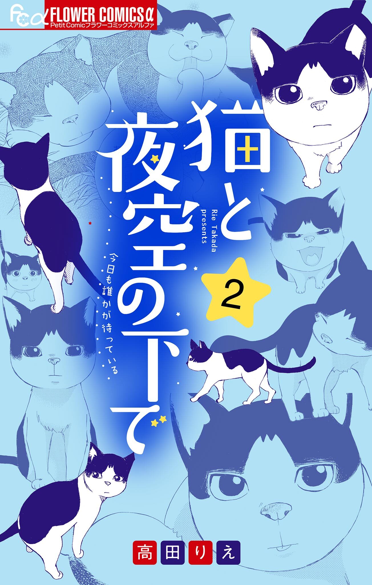猫と夜空の下で 2