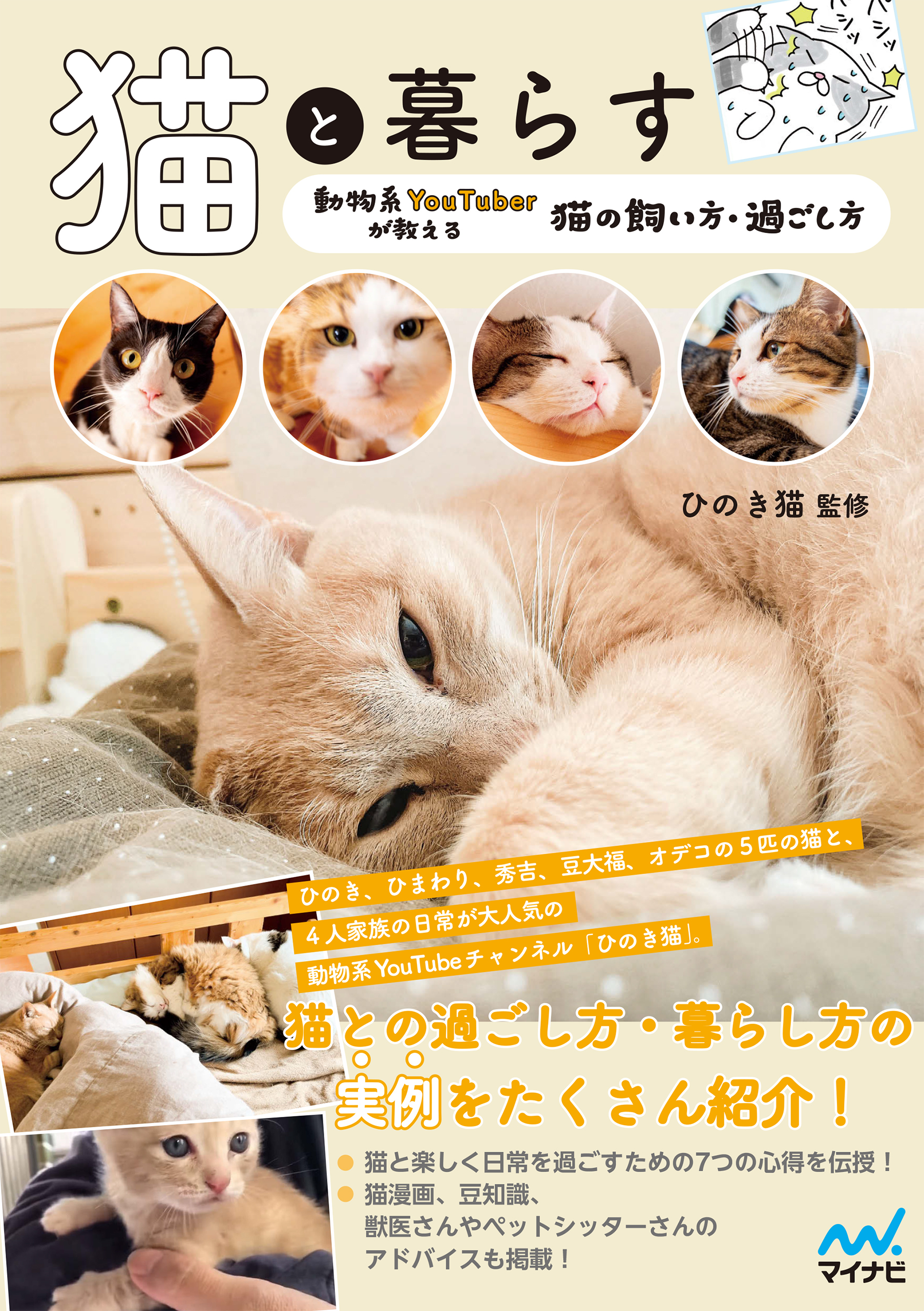 猫と暮らす 動物系YouTuberが教える猫の飼い方・過ごし方