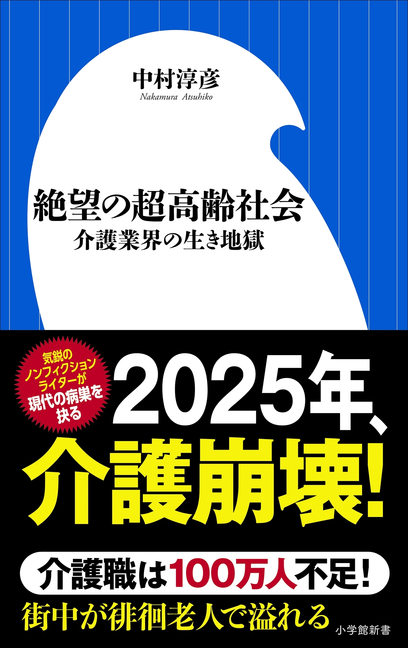 絶望の超高齢社会～介護業界の生き地獄～（小学館新書）