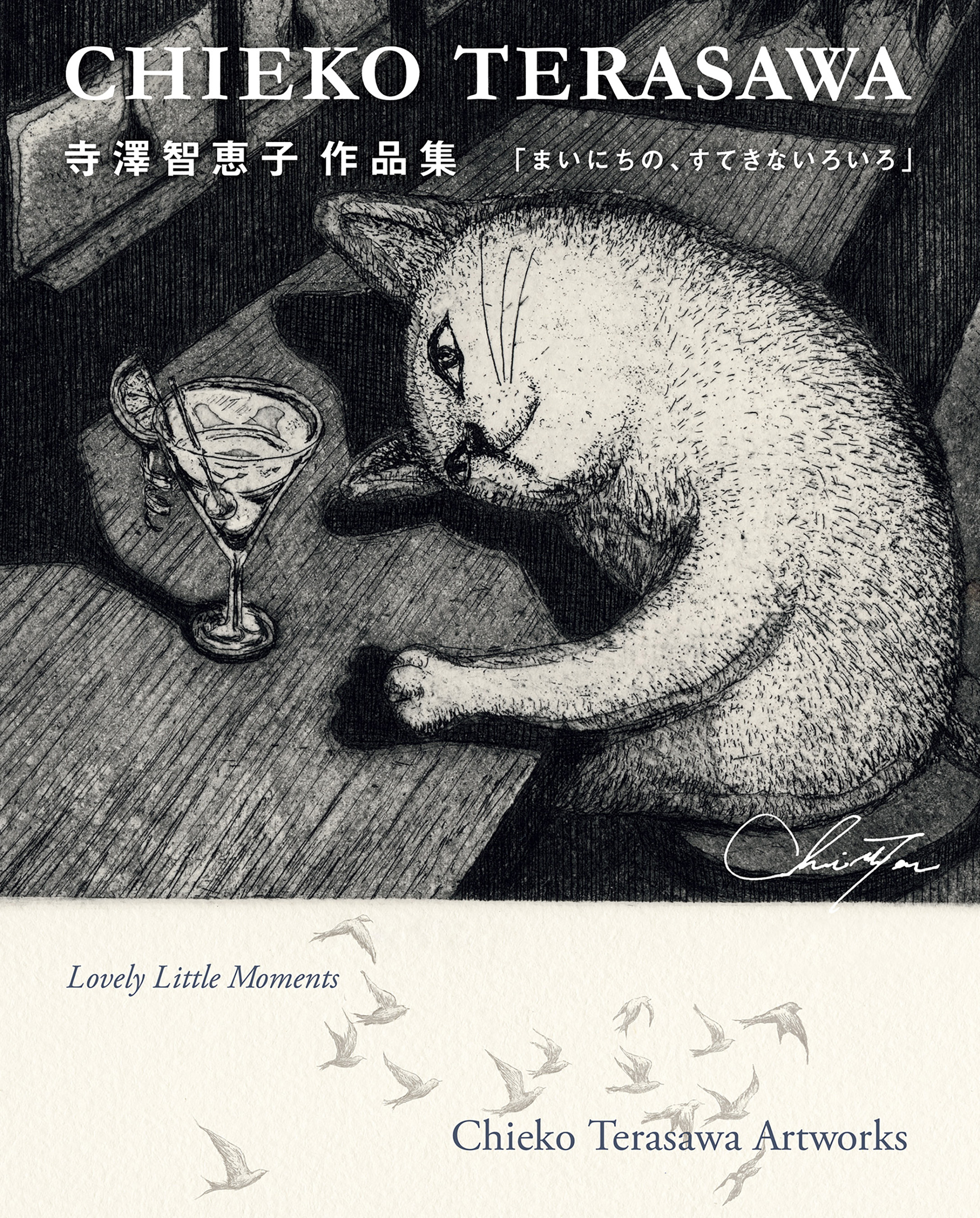 寺澤智恵子作品集　まいにちの、すてきないろいろ