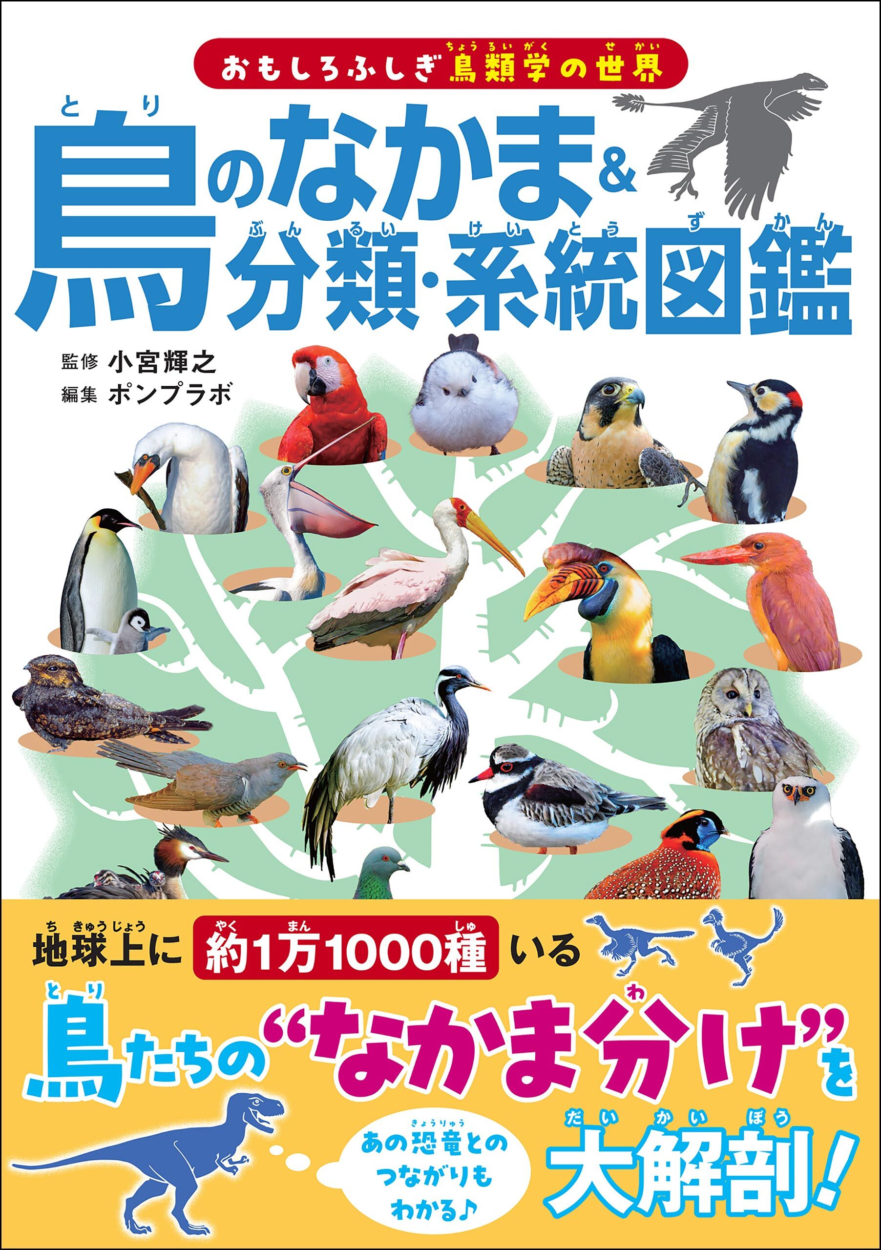 鳥のなかま＆分類・系統図鑑