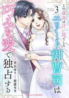 この運命は甘い罠でした~エリート御曹司は巧みな愛で独占する~