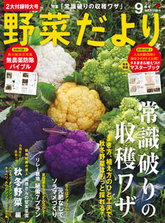 野菜だより2019年9月号