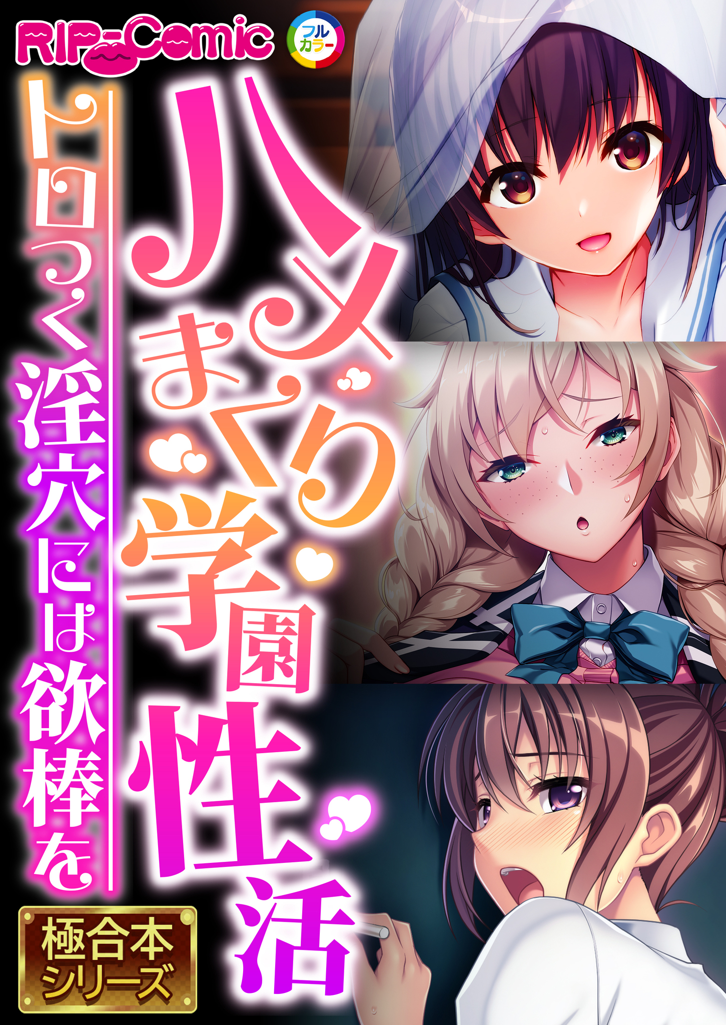 ハメまくり学園性活 ～トロつく淫穴には欲棒を～【極合本シリーズ】