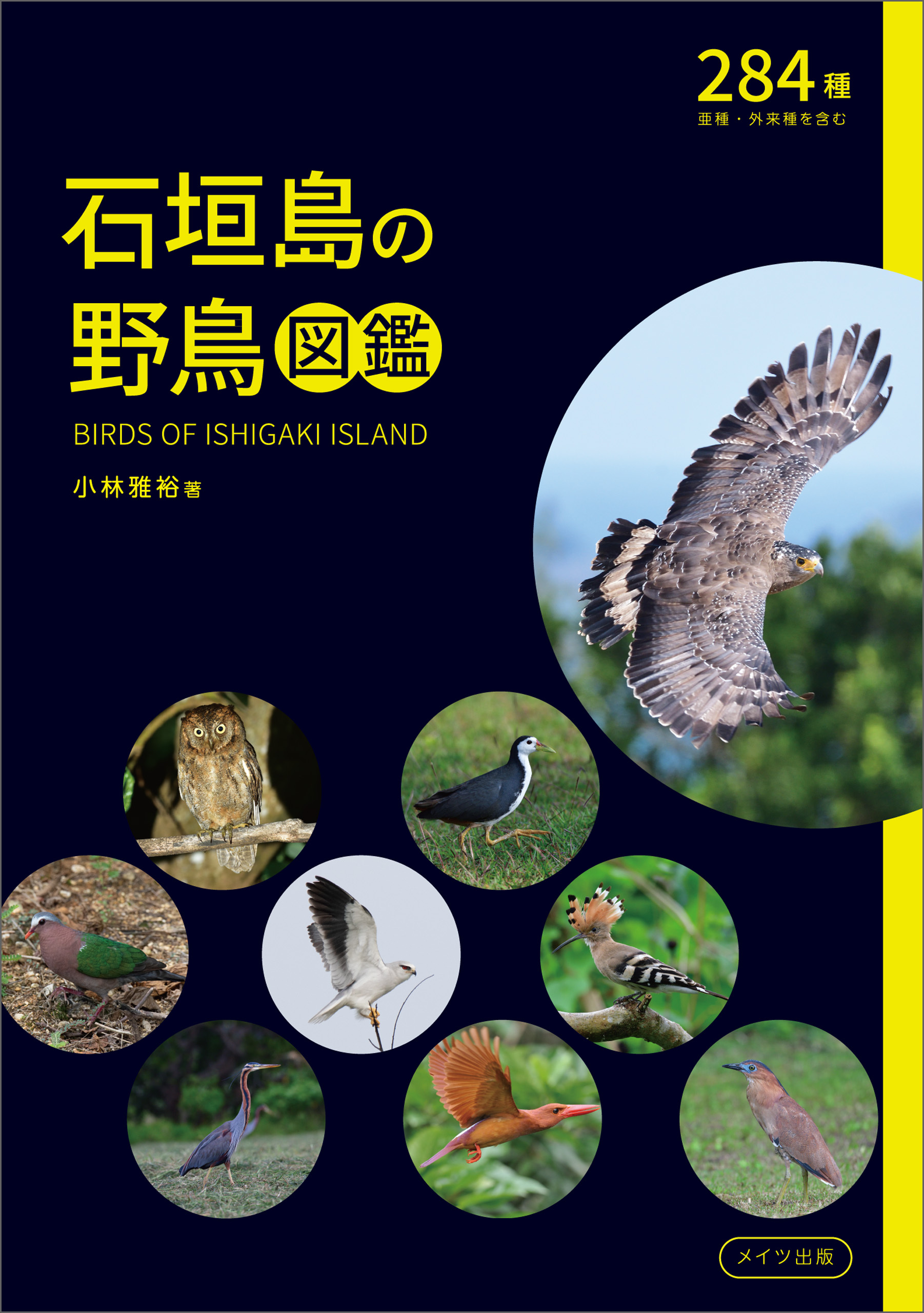 石垣島の野鳥図鑑