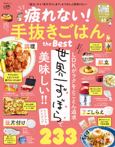 晋遊舎ムック 疲れない!手抜きごはん the Best