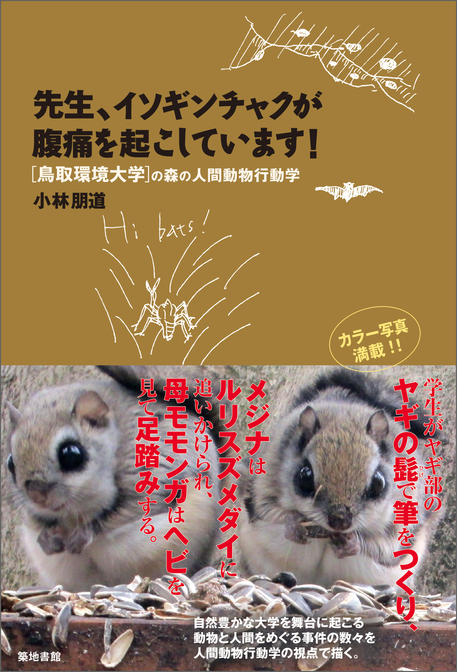 先生、イソギンチャクが腹痛を起こしています！