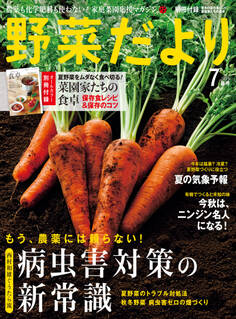 野菜だより2015年7月号