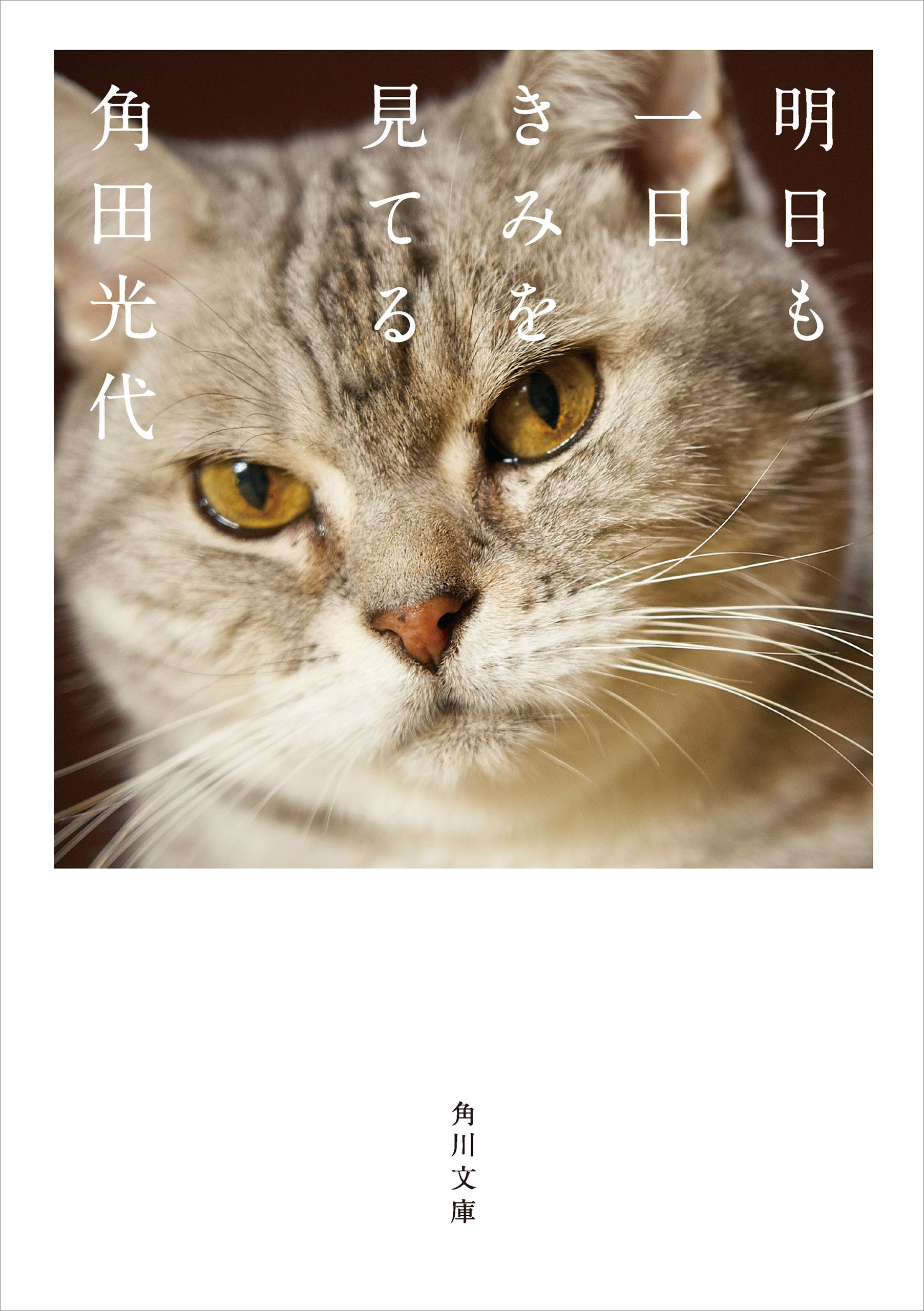 明日も一日きみを見てる