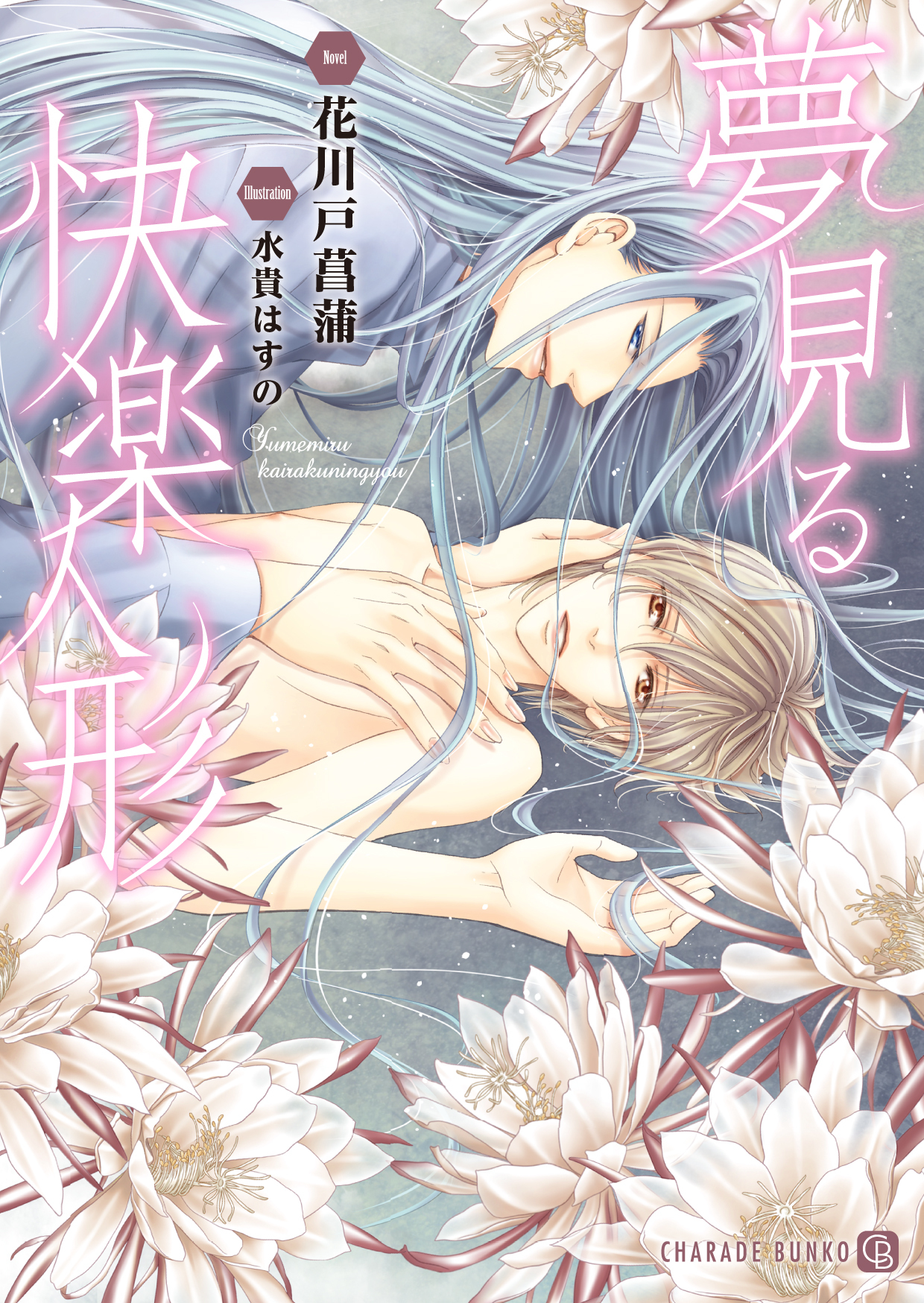 夢見る快楽人形【特別版】