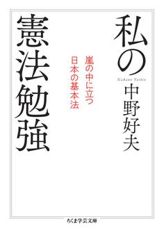 私の憲法勉強 ──嵐の中に立つ日本の基本法