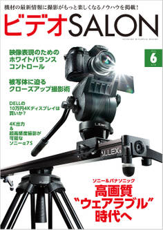 ビデオ SALON (サロン) 2014年 06月号