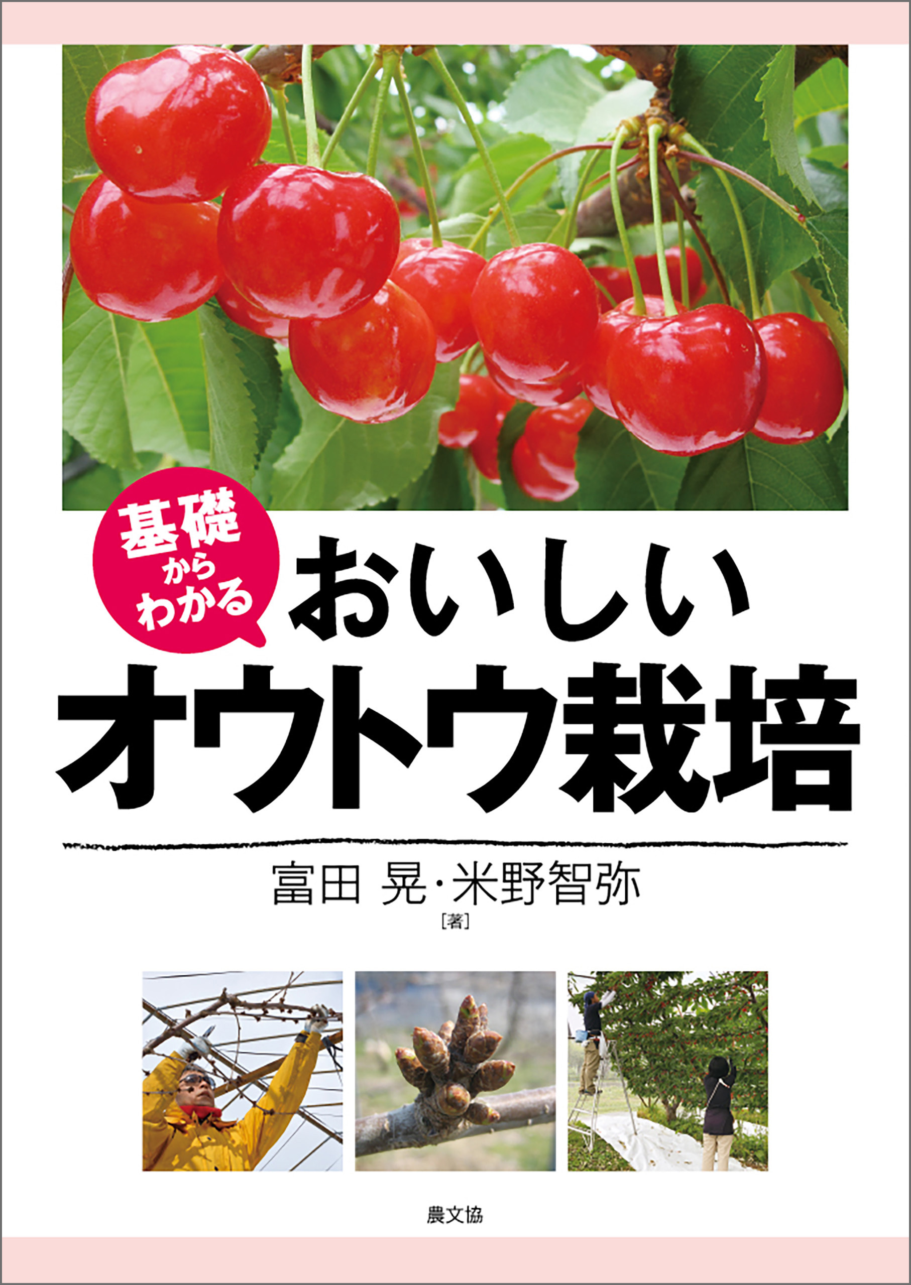 基礎からわかる　おいしいオウトウ栽培