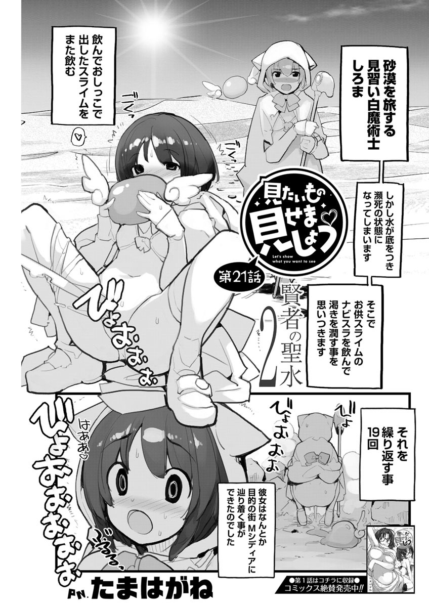 見たいもの見せましょう〈連載版〉第21話「賢者の聖水2」