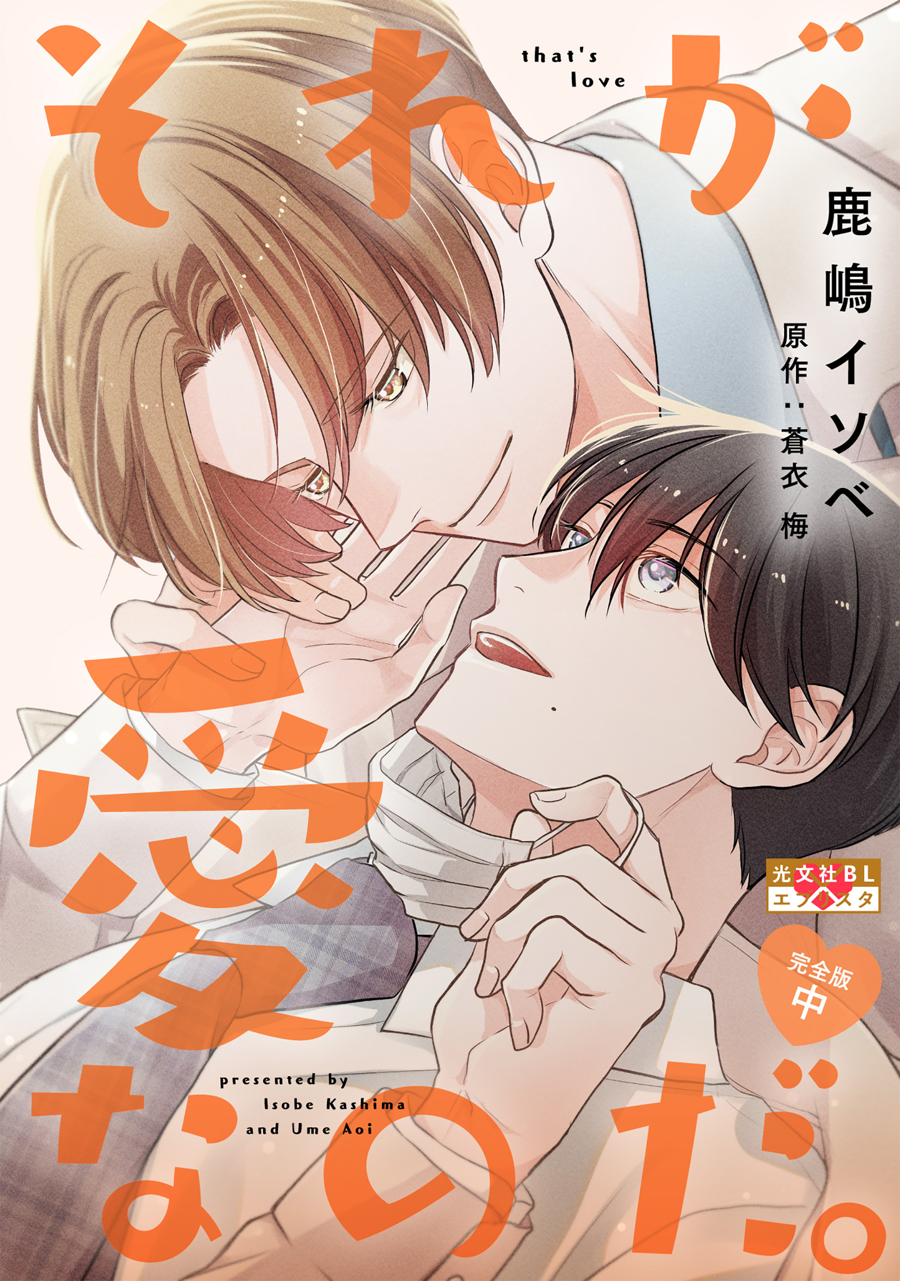 それが愛なのだ。 完全版 中