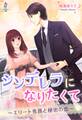 シンデレラになりたくて~エリート専務と秘密の恋~