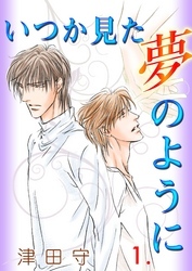 いつか見た夢のように