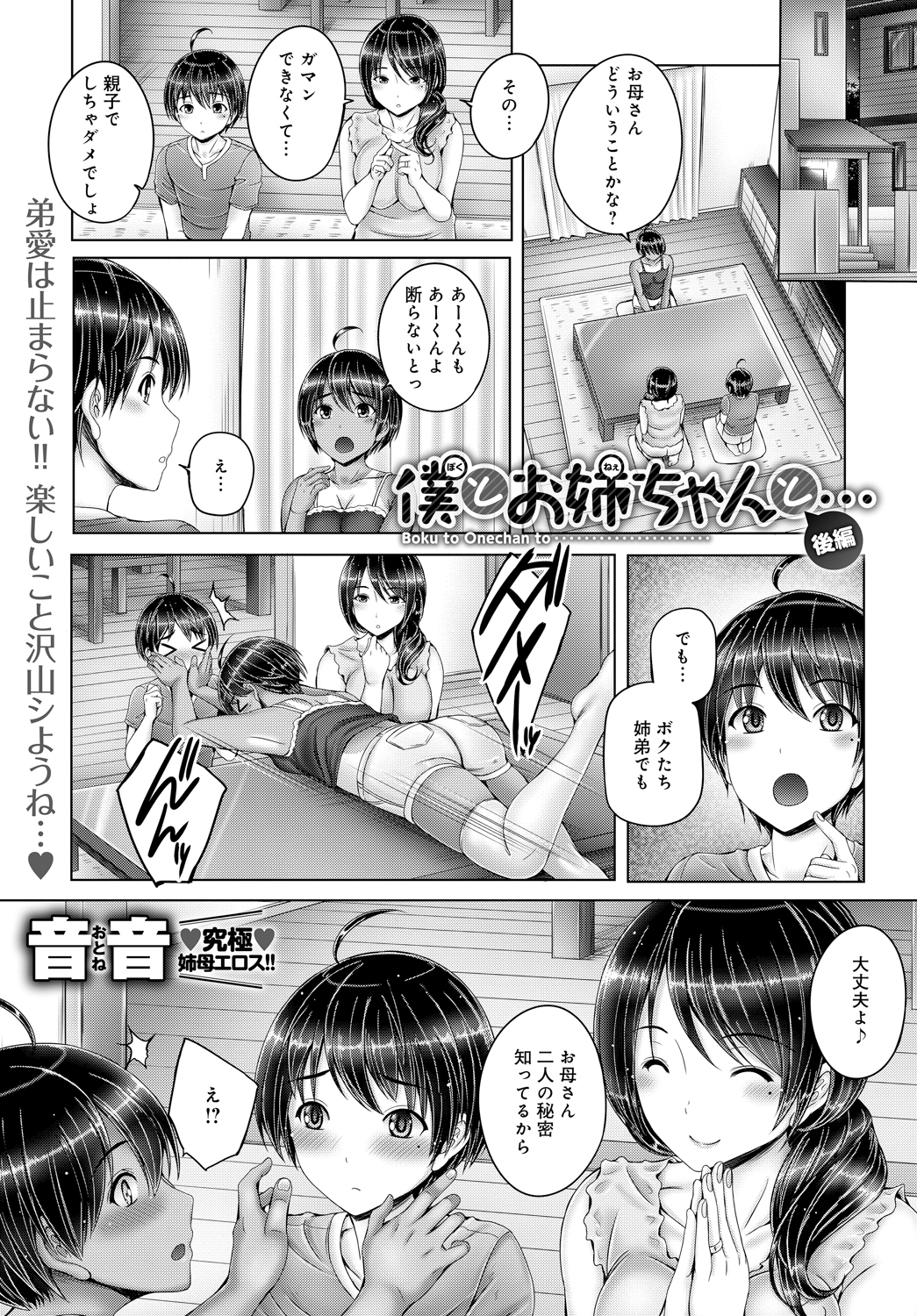 僕とお姉ちゃんと…