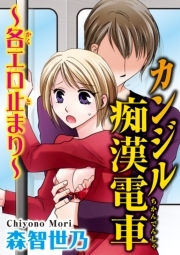 カンジル痴漢電車～各エロ止まり～