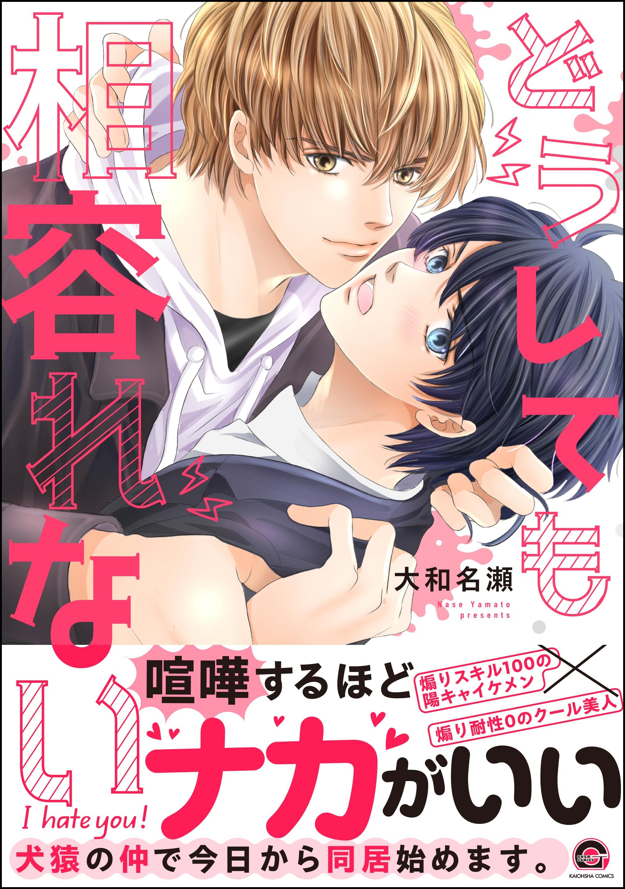 どうしても相容れない