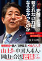 なぜ安倍元総理は殺されなければならなかったのか 山上徹也被告裁判傍聴記