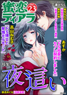 蜜恋ティアラ夜這い Vol.23