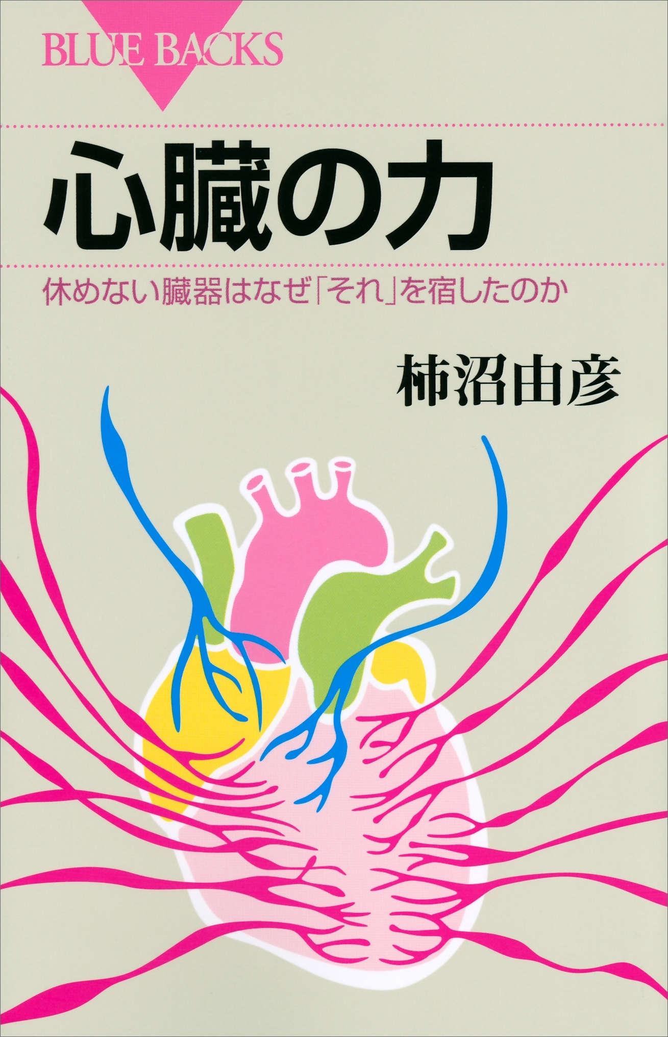 心臓の力　休めない臓器はなぜ「それ」を宿したのか