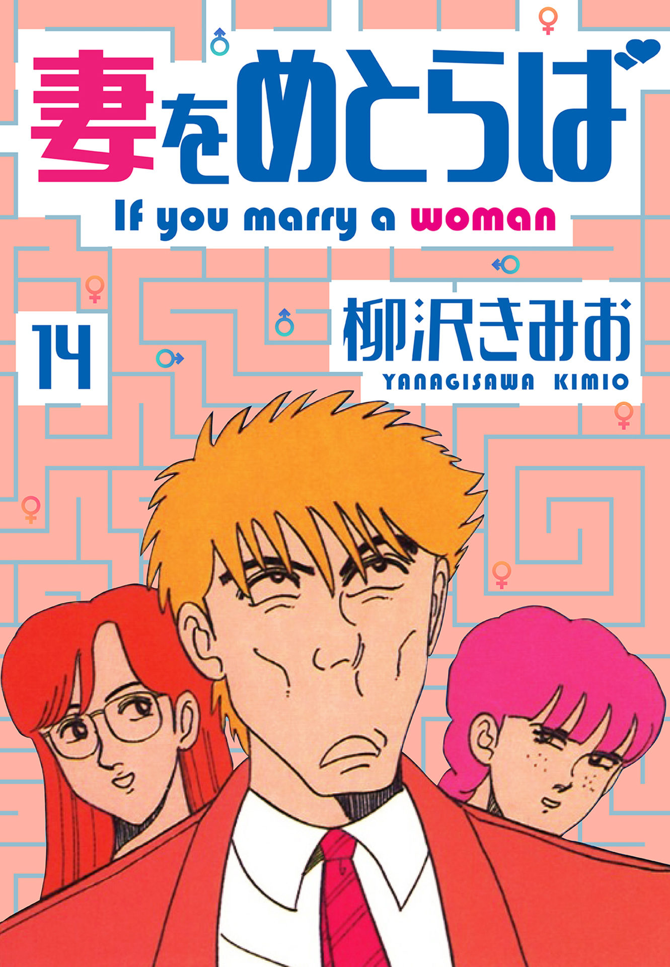 妻をめとらば　新装版　14