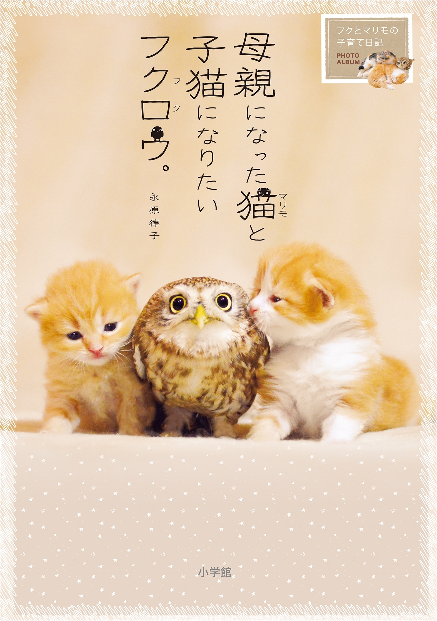 母親になった猫と子猫になりたいフクロウ。～フクとマリモの子育て日記～