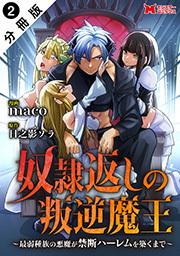 奴隷返しの叛逆魔王 ～最弱種族の悪魔が禁断ハーレムを築くまで～(コミック) 分冊版 ： 2