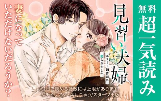 見習い夫婦~エリート御曹司に娶られました~