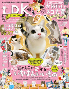 晋遊舎ムック ネコDK Special