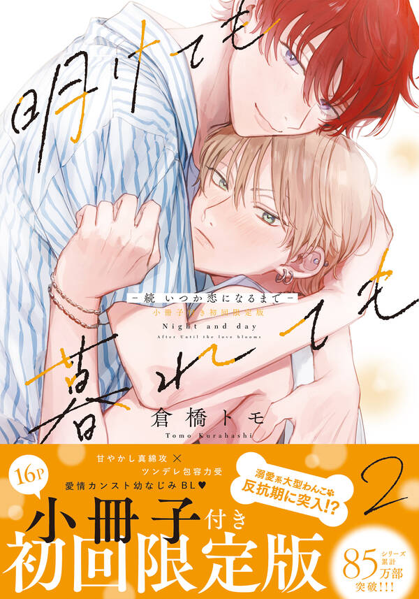 明けても暮れても 続 いつか恋になるまで 【単行本版（初回限定小冊子＆電子限定描き下ろし付）】全巻 1 2巻 完結 倉橋トモ 人気漫画を