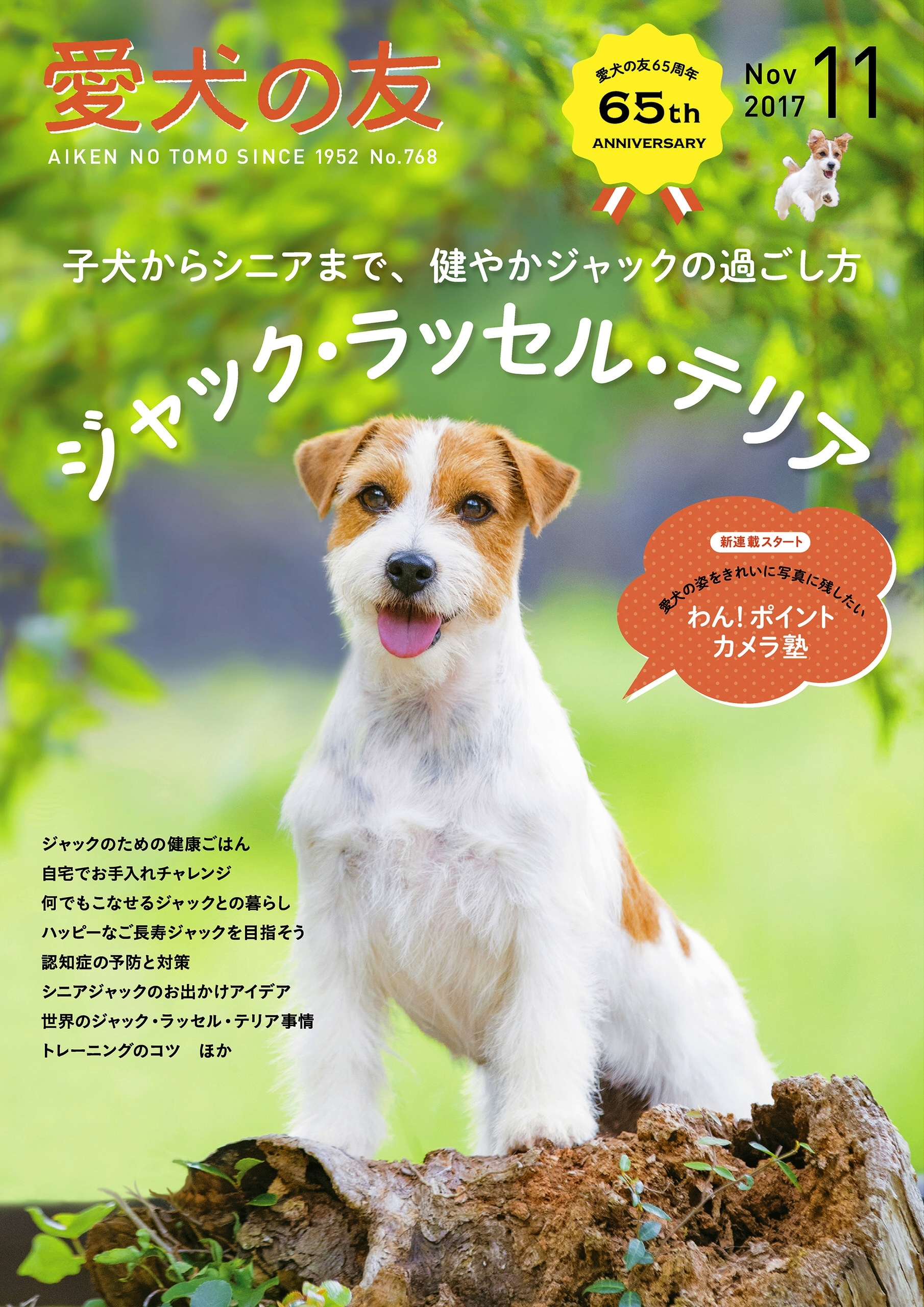 愛犬の友2017年11月号