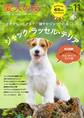 愛犬の友2017年11月号
