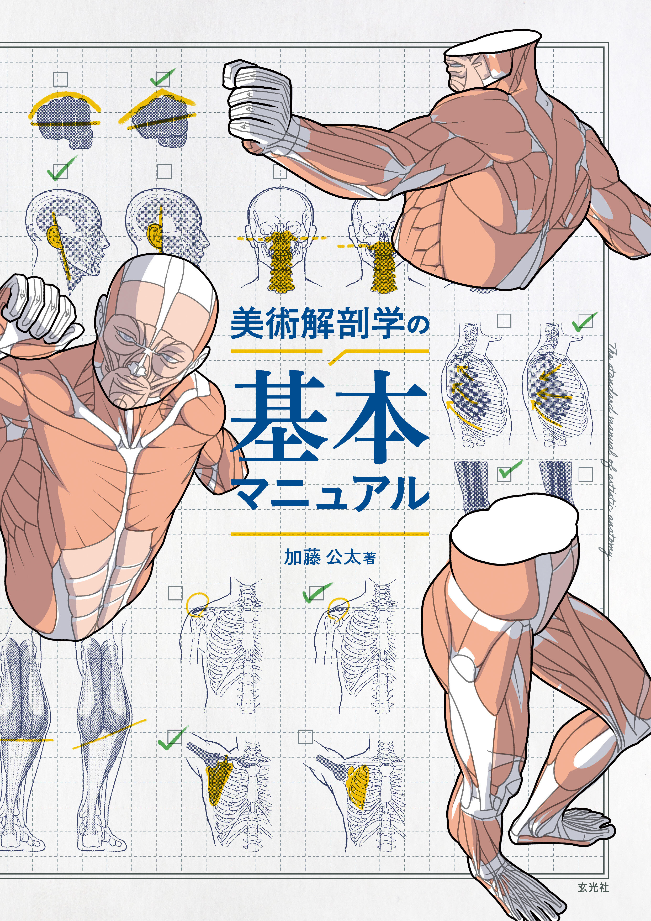美術解剖学の基本マニュアル