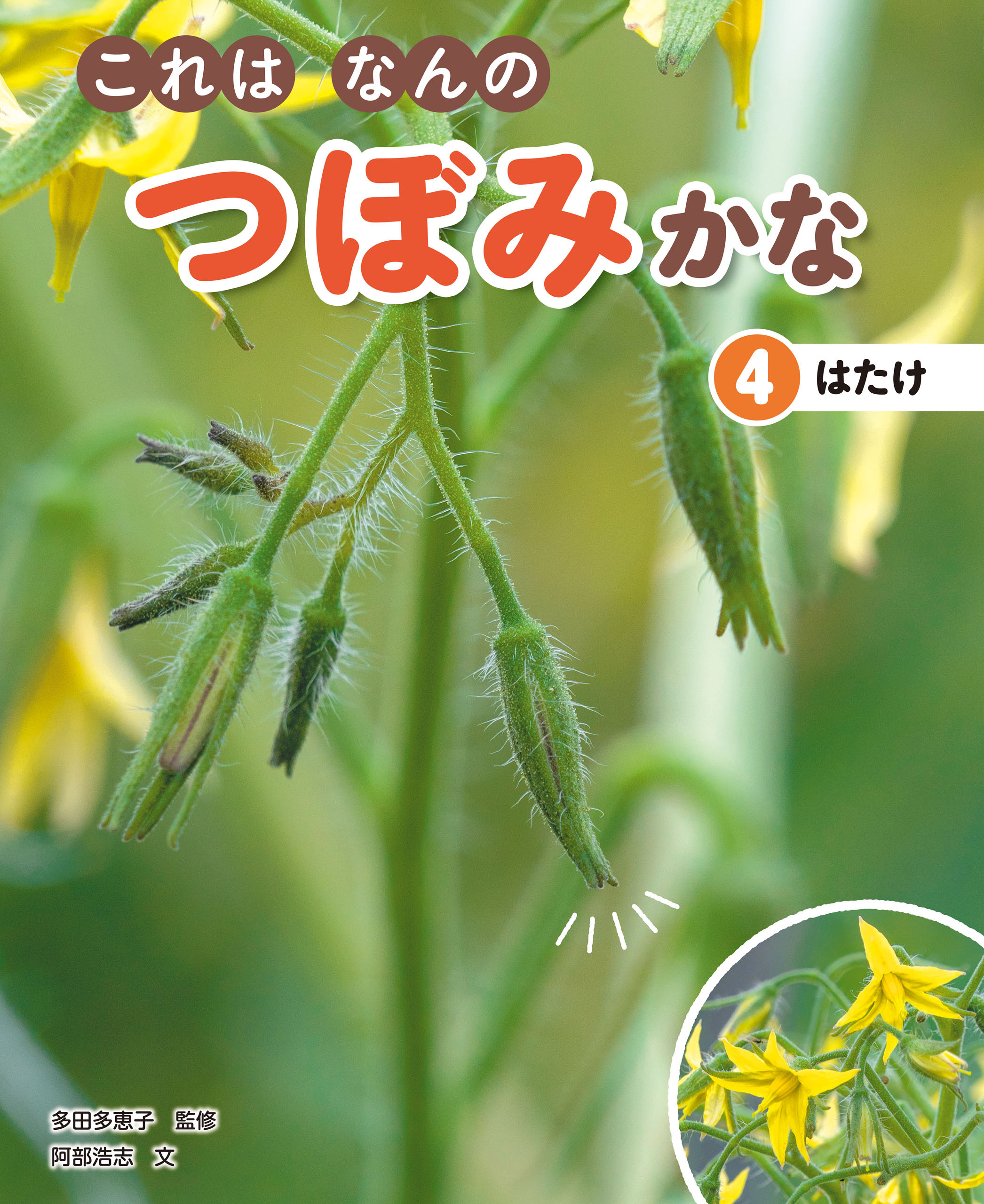 これはなんのつぼみかな