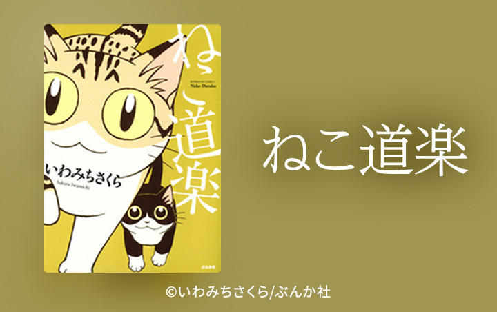 7話無料]ねこ道楽(全10話)|いわみちさくら|無料連載|人気漫画を無料で