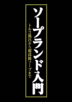 ソープランド入門 ~トルコ風呂から超高級ソープまで~