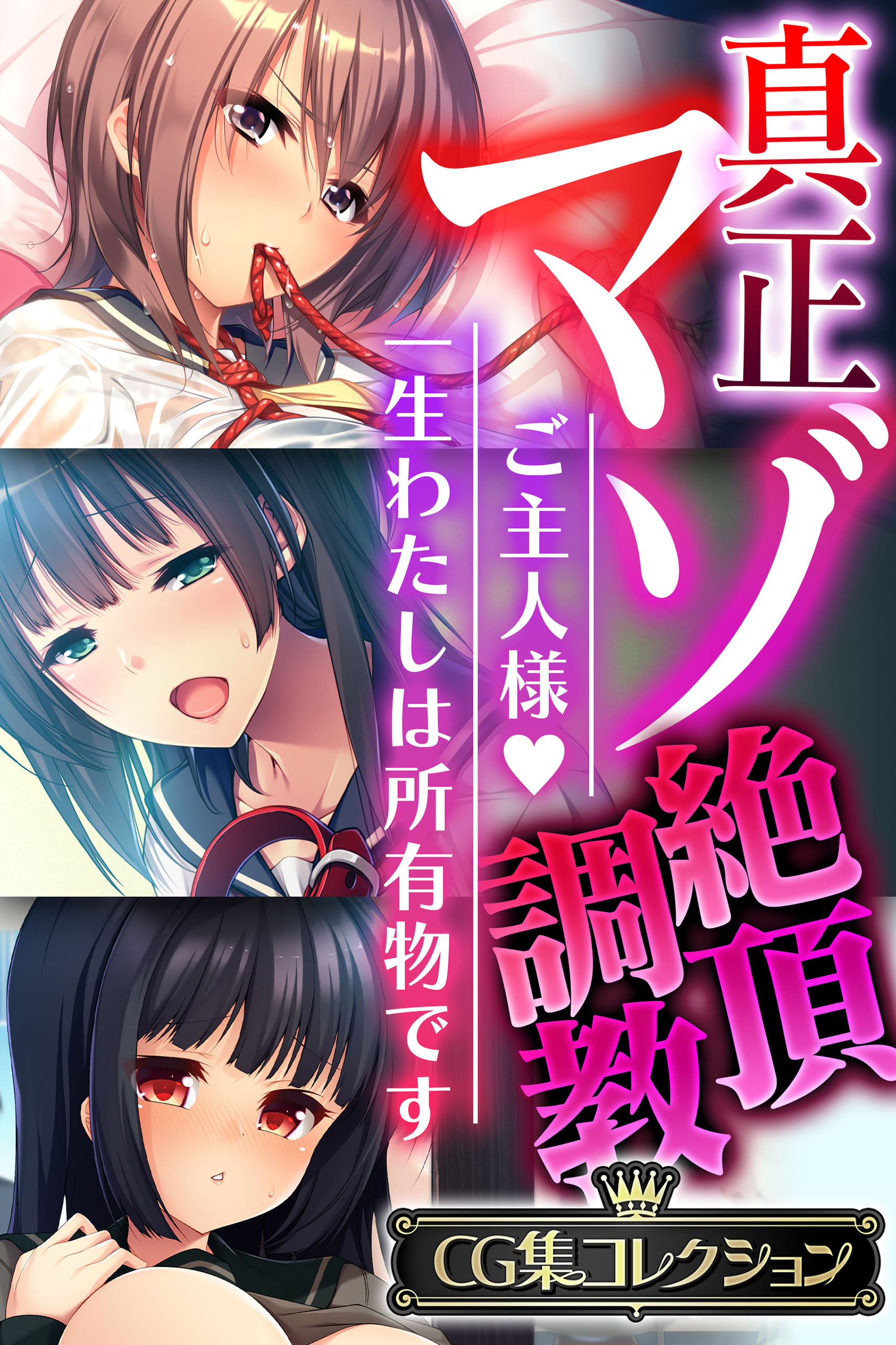 真正マゾ絶頂調教 ～ご主人様 一生わたしは所有物です～【CG集コレクション】
