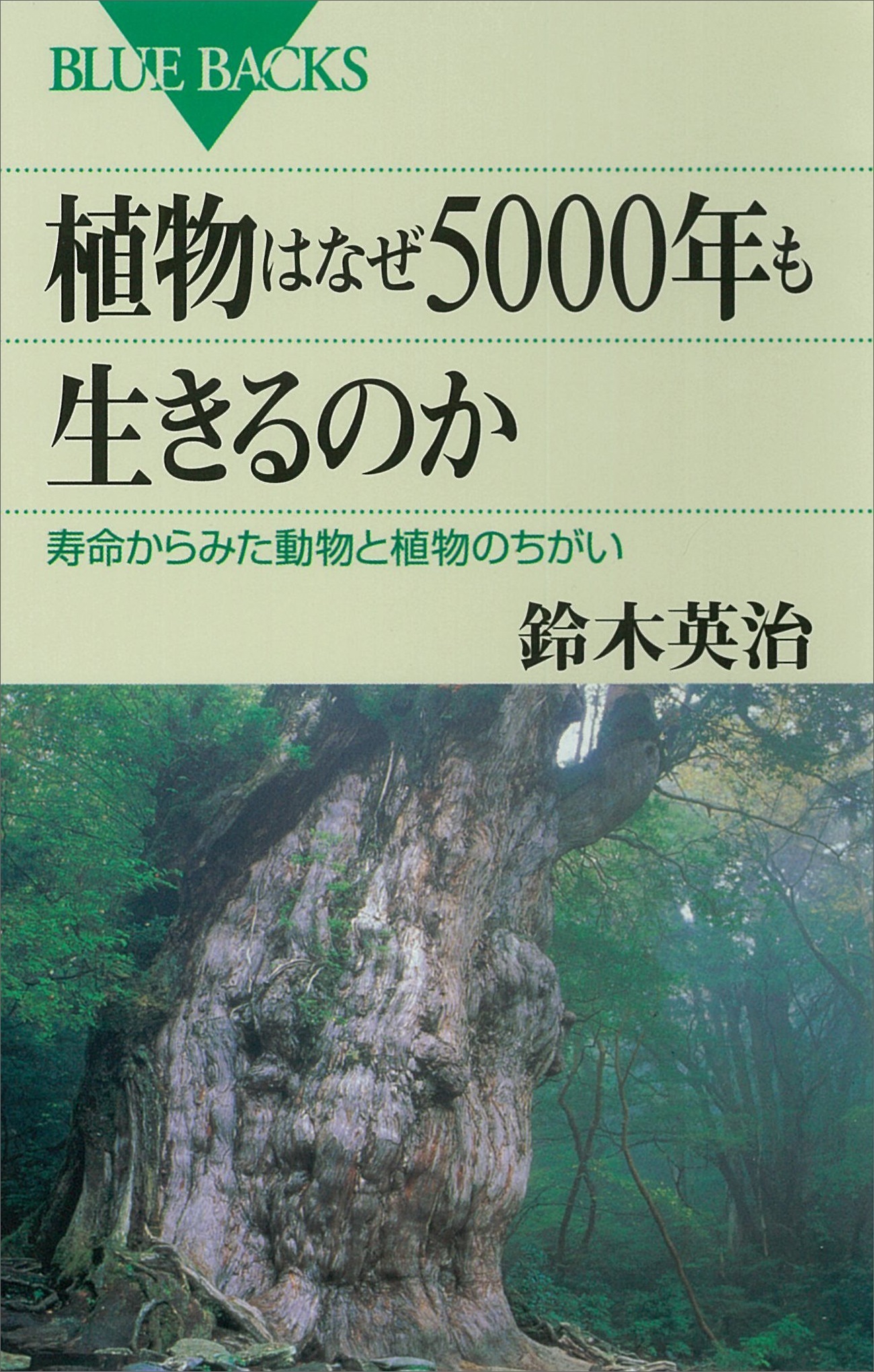植物はなぜ5000年も生きるのか　寿命からみた動物と植物のちがい