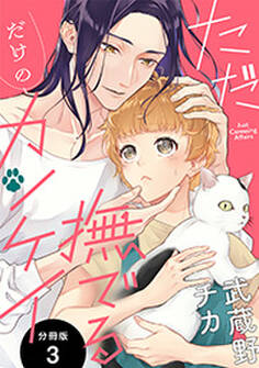 ただ撫でるだけのカンケイ 分冊版 : 3