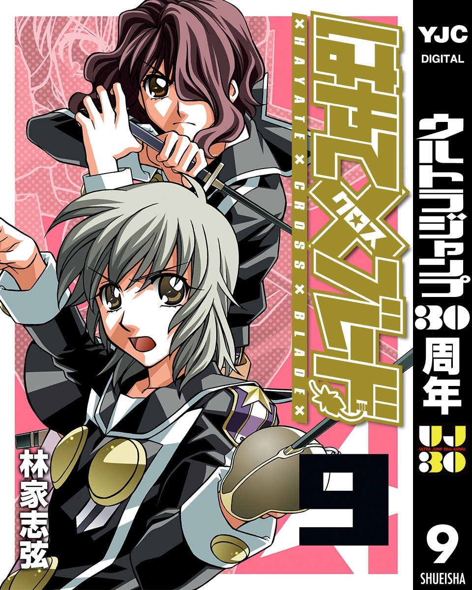 はやて×ブレード 9