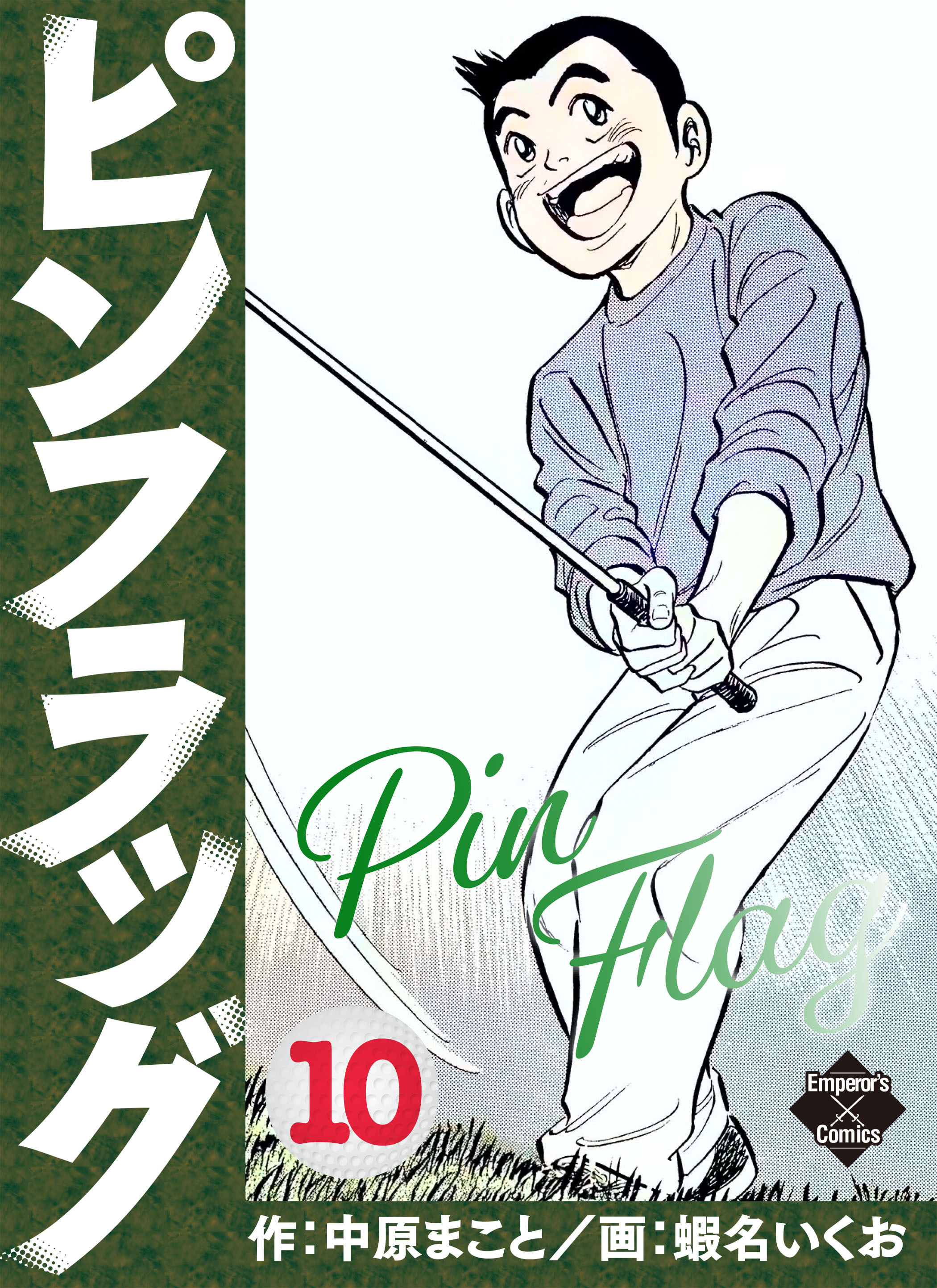 ピンフラッグ 10