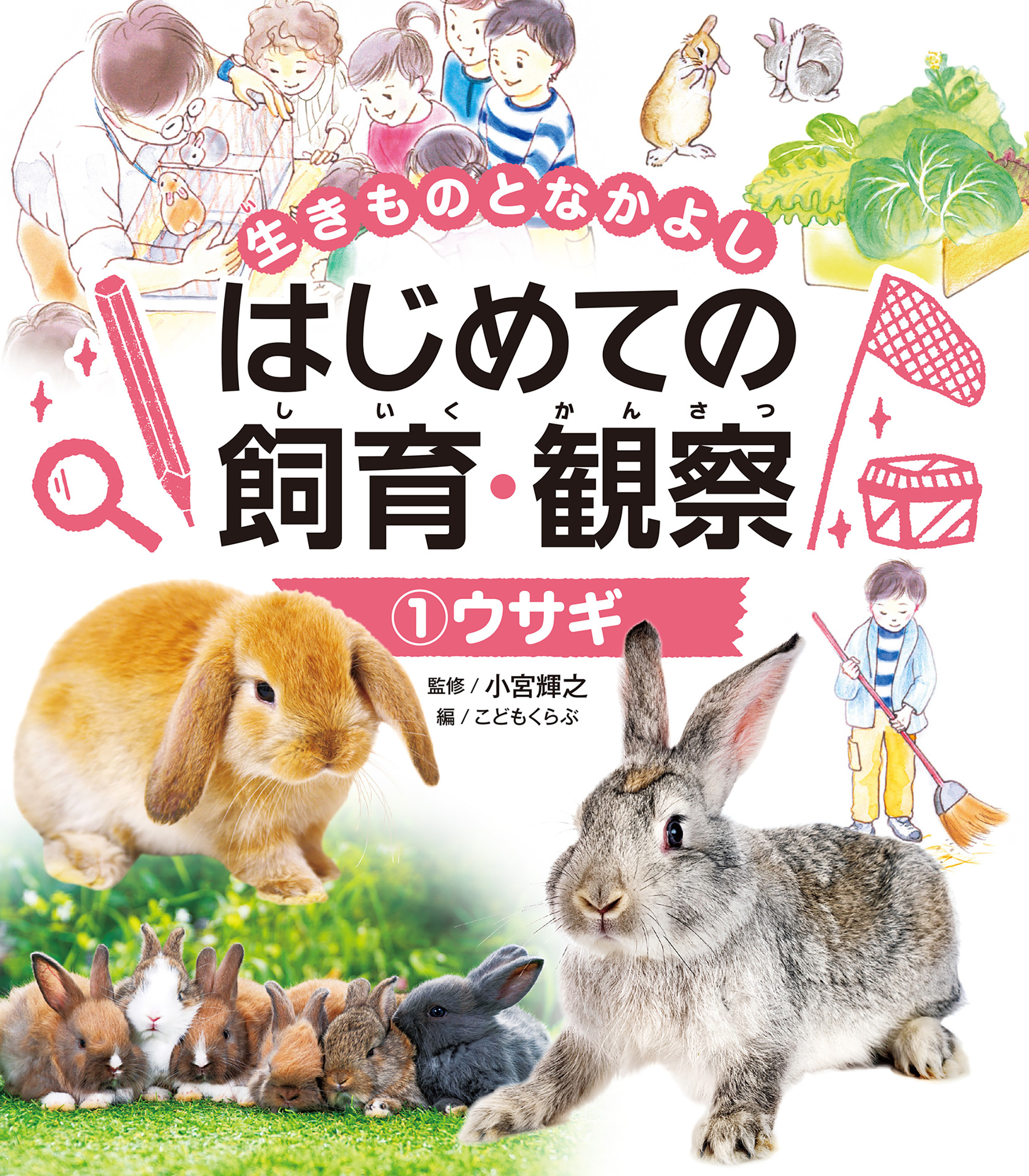 ウサギ１　生きものとなかよし　はじめての飼育・観察