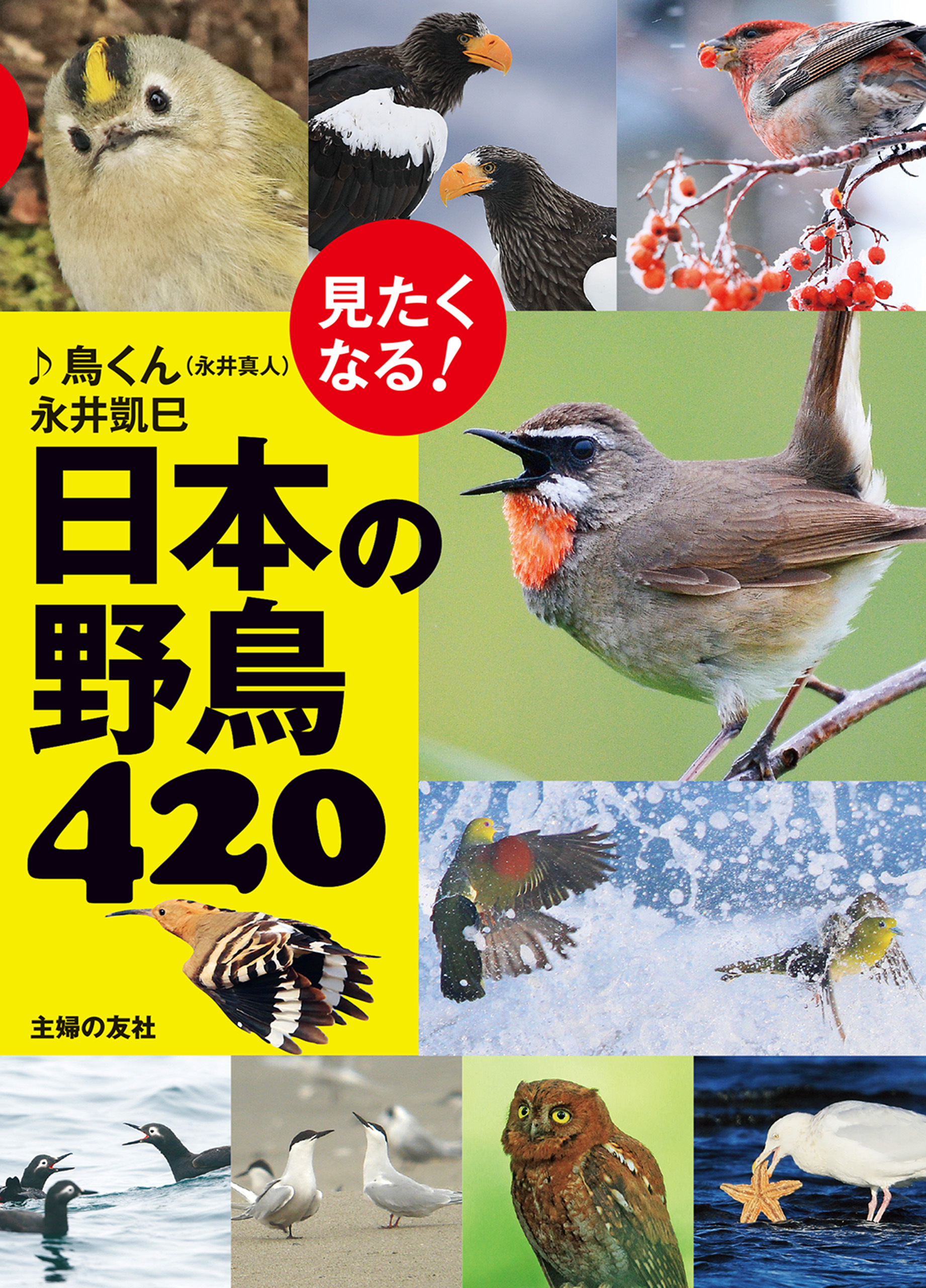 見たくなる！日本の野鳥４２０